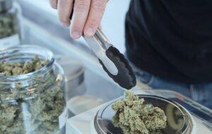 Session 6: Working in a Dispensary